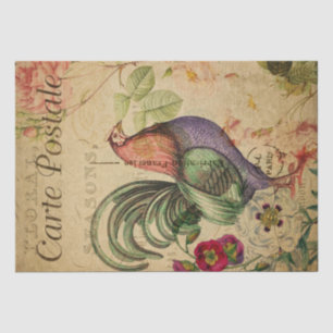 Frans Briefkaart voor ontkoppeling van kippen Tissuepapier