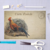  Frans Briefkaart voor ontkoppeling van kippen Tissuepapier (Craft)