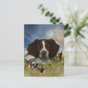 Frans-Brittany, art Briefkaart