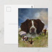 Frans-Brittany, art Briefkaart (Voorkant / Achterkant)