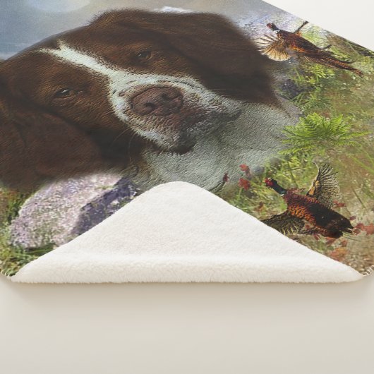 Frans-Brittany, art Sherpa Deken (3/4)