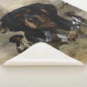 Frans-Brittany, art Sherpa Deken (3/4)