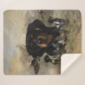 Frans-Brittany, art Sherpa Deken (Voorkant (horizontaal))