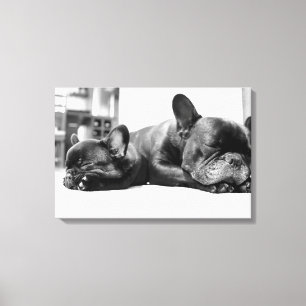 Frans buldoggen"puppy" die zij aan zij slapen canvas afdruk