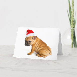 Frans buldogpuppy die een pet van de Kerstman Feestdagen Kaart