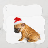 Frans buldogpuppy die een pet van de Kerstman Feestdagenkaart (Voorkant / Achterkant)