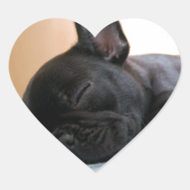Frans Bull Dog Pet Puppy Cute Love Destiny Hart Sticker