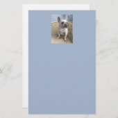 Frans Bulldog Briefpapier (Voorkant / Achterkant)