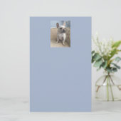 Frans Bulldog Briefpapier (Staand voorkant)