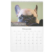 FRANS BULLDOG CALENDAR 2015 KALENDER (Feb 2026)