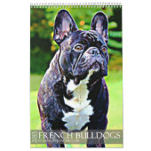 FRANS BULLDOG CALENDAR 2015 KALENDER (Hoes)