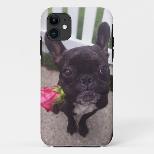 Frans Bulldog i-Phone 5/5S hoesje (Achterkant)
