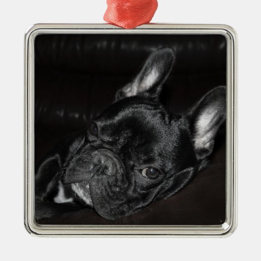 Frans Bulldog Ornament Metal Custom (Voorkant)
