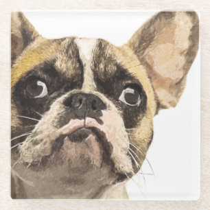 Frans Bulldog Painted Portrait Glazen Onderzetter