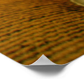 Frans Bulldog Photo Poster (Hoek)