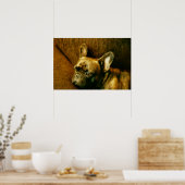 Frans Bulldog Photo Poster (Keuken)