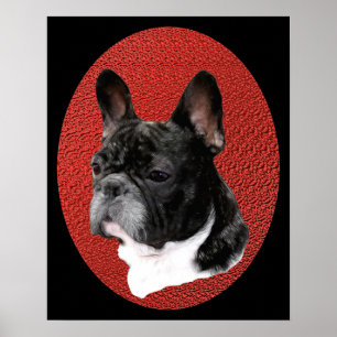 Frans Bulldog Portrait Poster