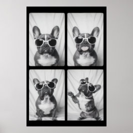 Frans Bulldog Portrait Poster