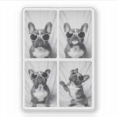 Frans Bulldog Portrait Sticker (Voorkant)