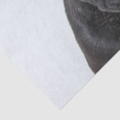 Frans Bulldog Portrait Tissuepapier (Detail)