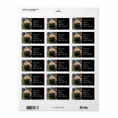 Frans Bulldog-verzendlabel Etiket (Full Sheet)