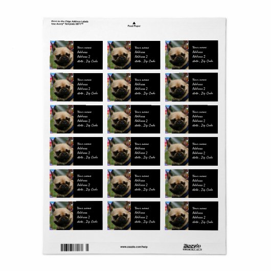 Frans Bulldog-verzendlabel Etiket (Full Sheet)