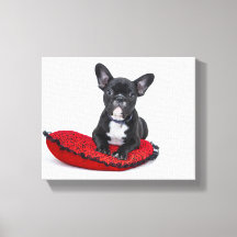 Frans bulldogcanvas