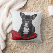 Frans bulldogkussen kussen (Deken)