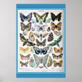  Frans Butterflies Cottcore Poster (Voorkant)