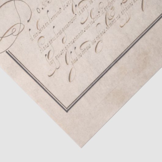 Frans Calligrafie Handschrift Script Parchment Tissuepapier (Detail)