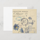  Frans Carte Postale Roos Lady Bee Flower (Voorkant / Achterkant)