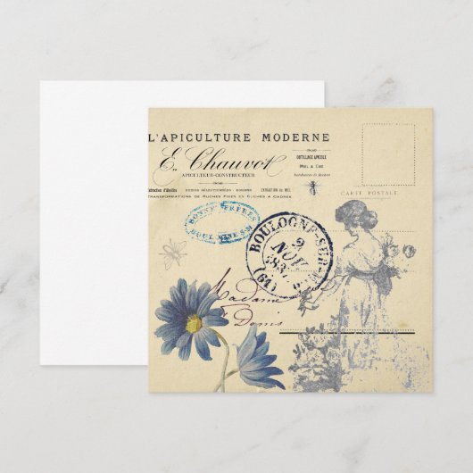  Frans Carte Postale Roos Lady Bee Flower (Voorkant / Achterkant)