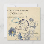  Frans Carte Postale Roos Lady Bee Flower (Voorkant)