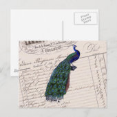  Frans Chic Blue Peacock Briefkaart (Voorkant / Achterkant)