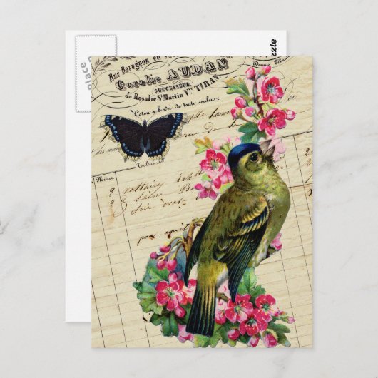  Frans Chic Spring Bird Collage Briefkaart (Voorkant / Achterkant)