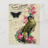  Frans Chic Spring Bird Collage Briefkaart (Voorkant)