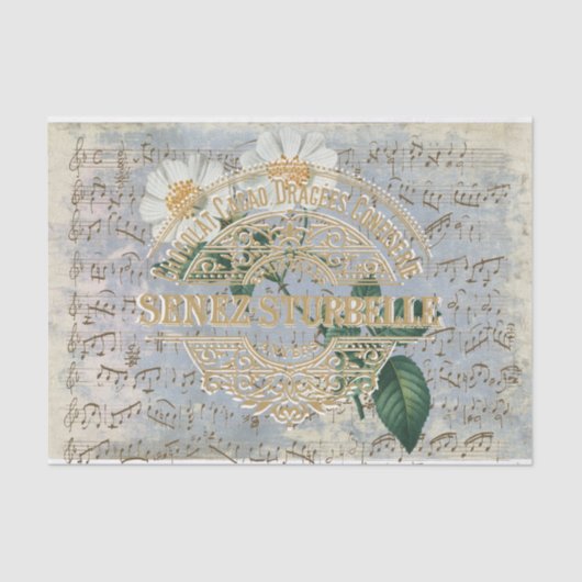 Frans Chocolade Roos Floral Music Blue Tissuepapier (Voorkant)