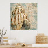  Frans Conch Shell Poster (Keuken)
