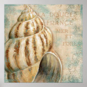  Frans Conch Shell Poster (Voorkant)