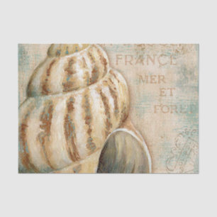  Frans Conch Shell Tissuepapier