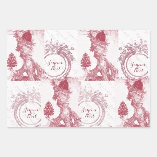 Frans elegant Marie Antoinette Joyeux Noel Inpakpapier Vel (Voorkant 3)