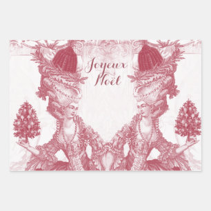 Frans elegant Marie Antoinette Joyeux Noel Inpakpapier Vel