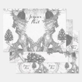 Frans elegant Marie Antoinette Joyeux Noel Inpakpapier Vel