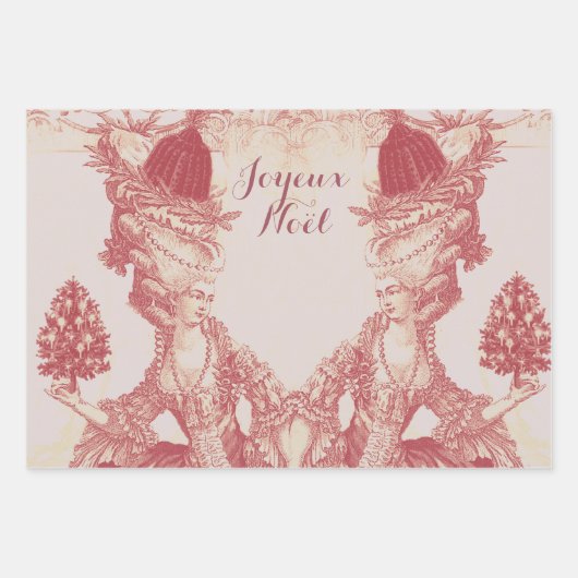 Frans elegant Marie Antoinette Joyeux Noel Inpakpapier Vel (Voorkant)