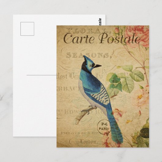 Frans Ephemera Blue Jay Bird Roses P Briefkaart (Voorkant / Achterkant)