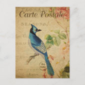 Frans Ephemera Blue Jay Bird Roses P Briefkaart (Voorkant)