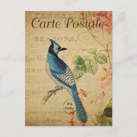  Frans Ephemera Blue Jay Bird Roses P Briefkaart (Voorkant)