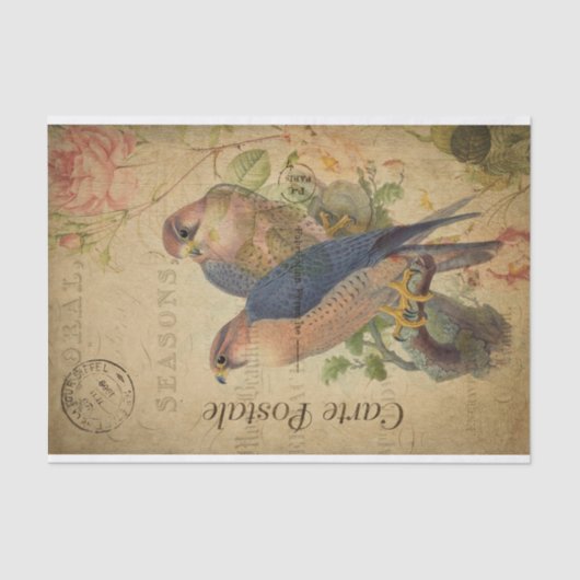 Frans Ephemera Gosbeak Bird Roos Floral Decoupage Tissuepapier (Voorkant)