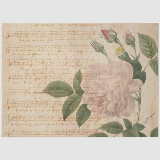 Frans Ephemera-tissuepapier Tissuepapier (Voorkant)