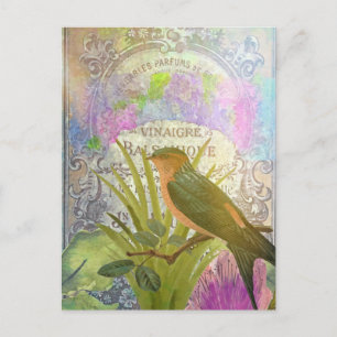 Frans etiket voor collage-vogelparfumkalk Briefkaart